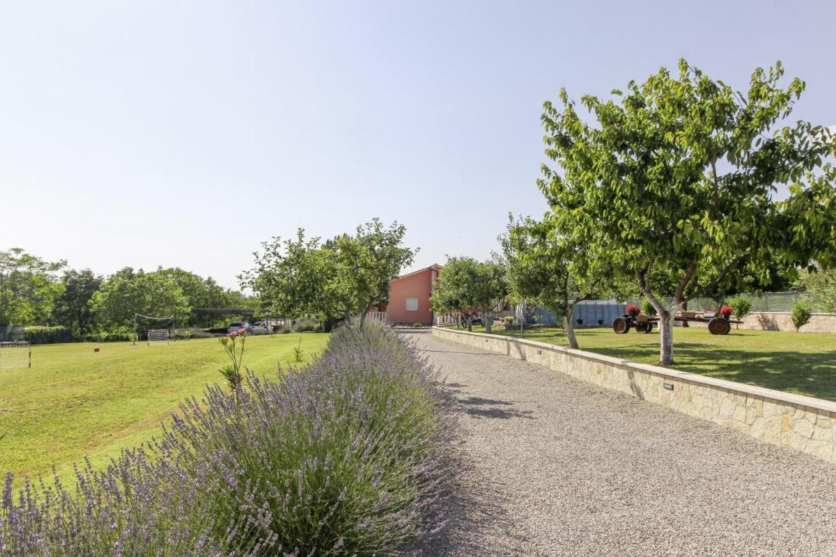 Vila Linda In Lovrinici Pazin Exteriér fotografie
